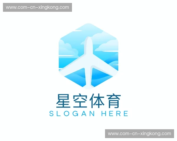 关于星空体育官方网站